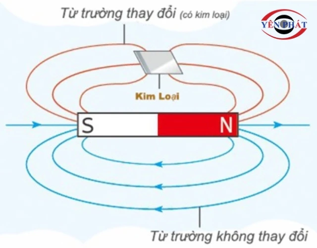 Trường điện từ của máy dò