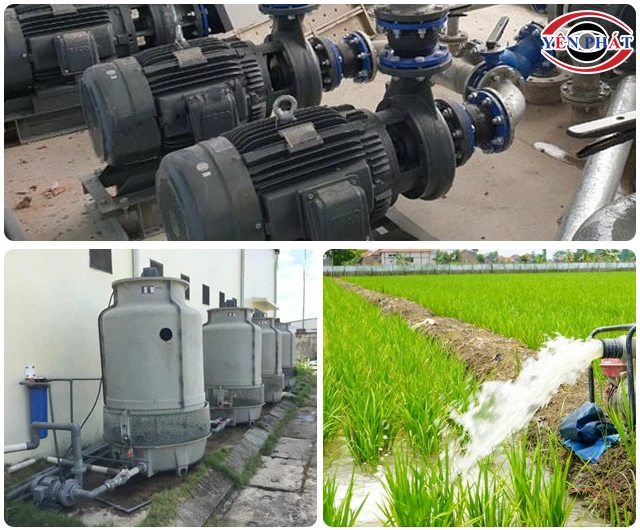 Ứng dụng của máy bơm ly tâm Teco đầu gang 1HP HVP340-1.75 20