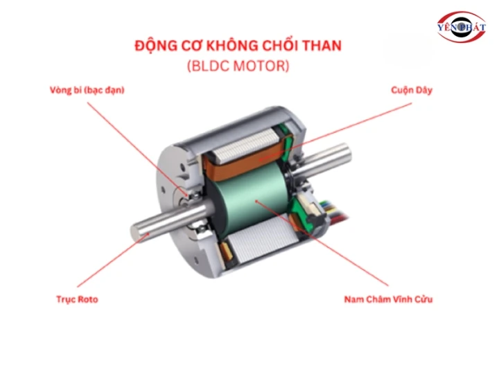 máy rửa xe không chổi than là gì?
