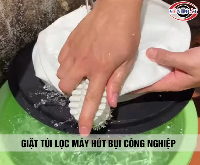 Giặt túi lọc máy hút bụi 