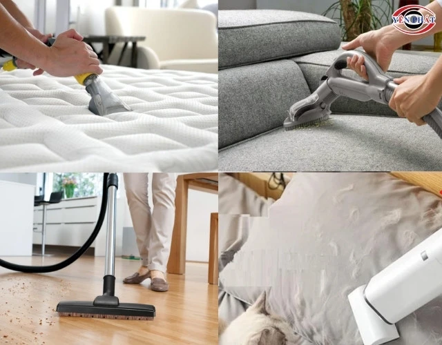 Máy hút bụi 2500W phù hợp với mọi bề mặt