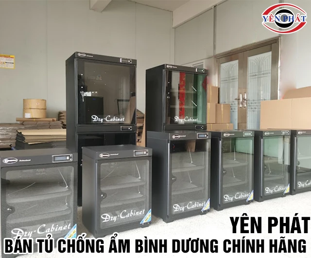 Bán tủ chống ẩm Bình Dương 