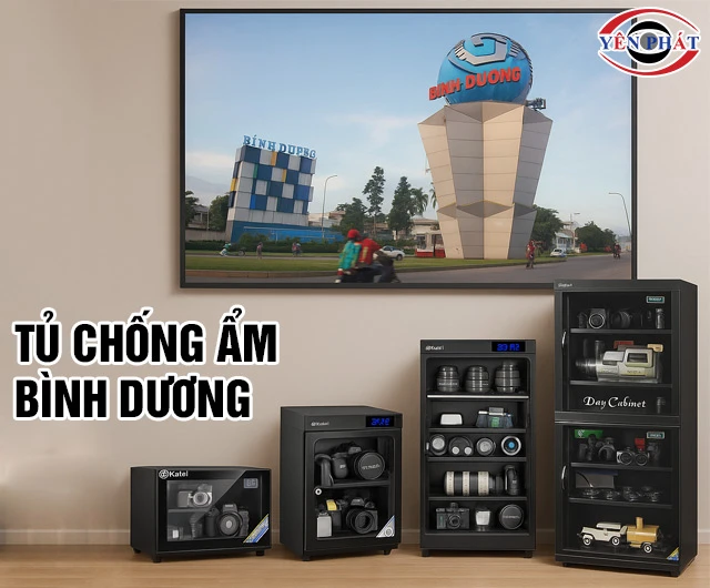 Tủ chống ẩm Bình Dương 