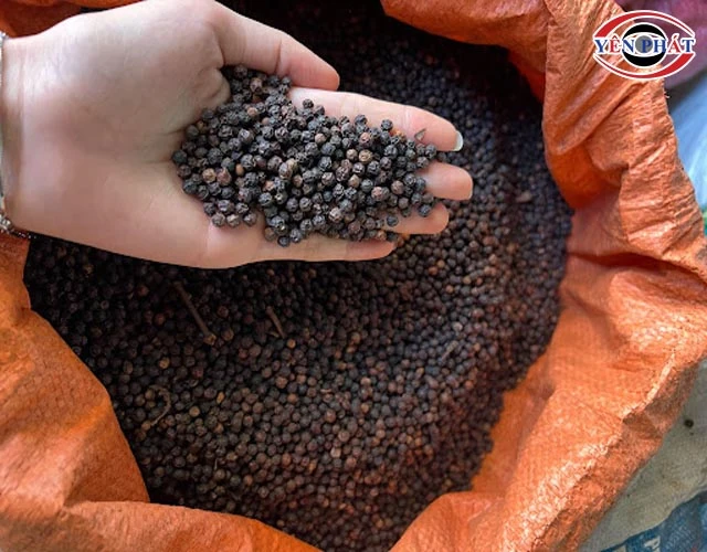 độ ẩm của hạt tiêu