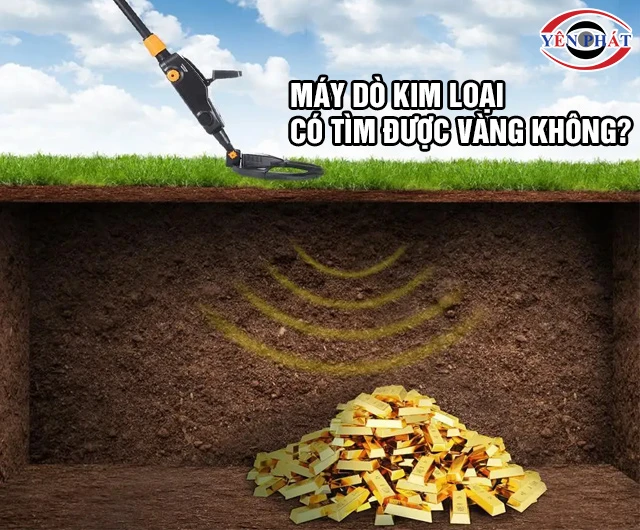 Máy dò kim loại có tìm được vàng không? Ai cũng nên Xem