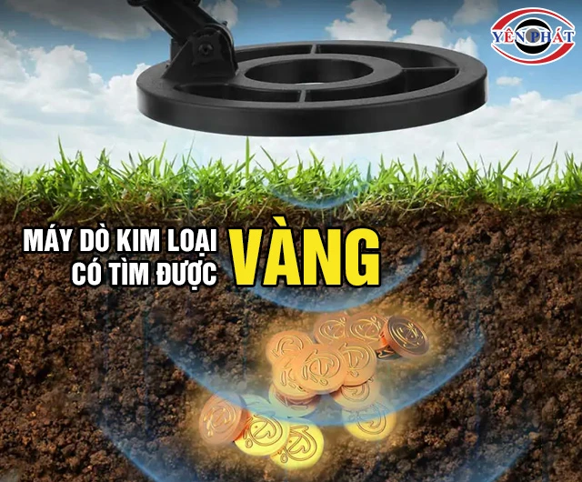 Máy dò kim loại có tìm được vàng