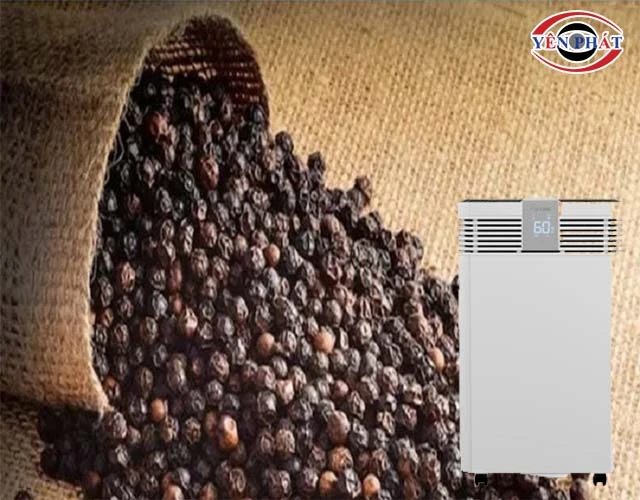 Dùng máy hút ẩm công suất lớn