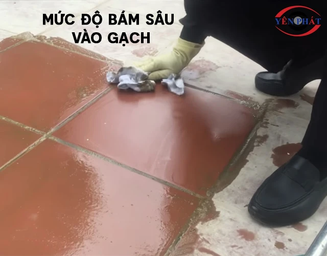 Phân loại theo mức độ bám sâu vào gạch