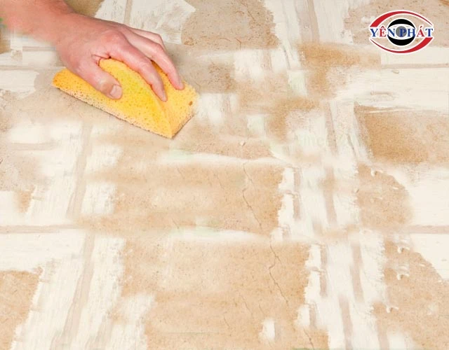 Phân loại theo thời gian bám dính