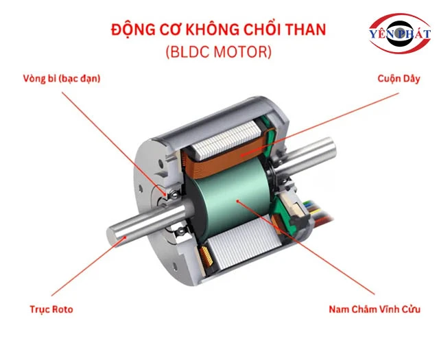 cấu tạo motor không chổi than