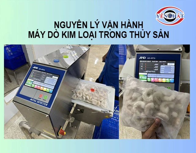 nguyên lý vận hành máy dò kim loại trong thủy sản