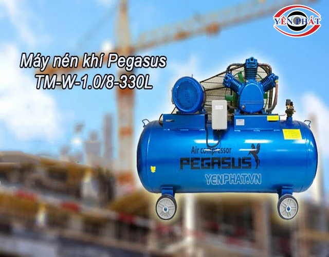 Máy nén khí Pegasus TM-W-1.0/8-330L