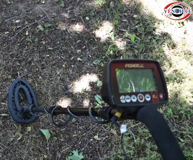 Máy dò kim loại Fisher F44