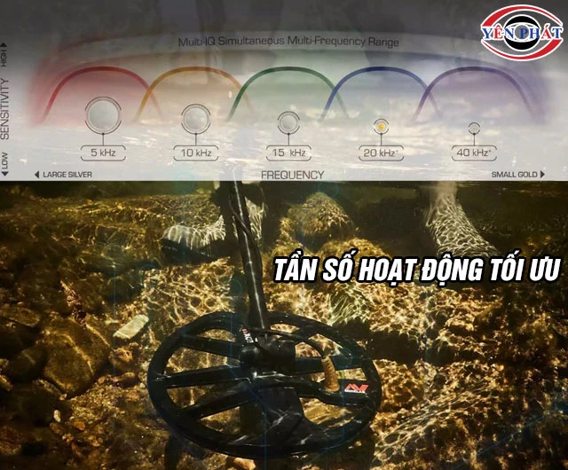 Tần số máy dò kim loại Fisher