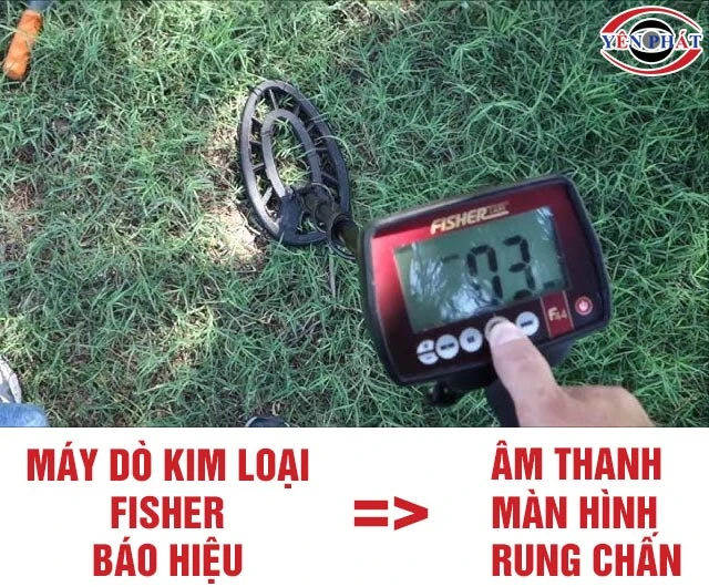 Báo hiệu máy dò kim loại Fisher