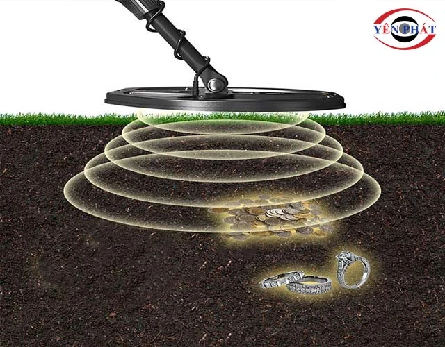 Máy dò kim loại Equinox 900 tìm nhẫn