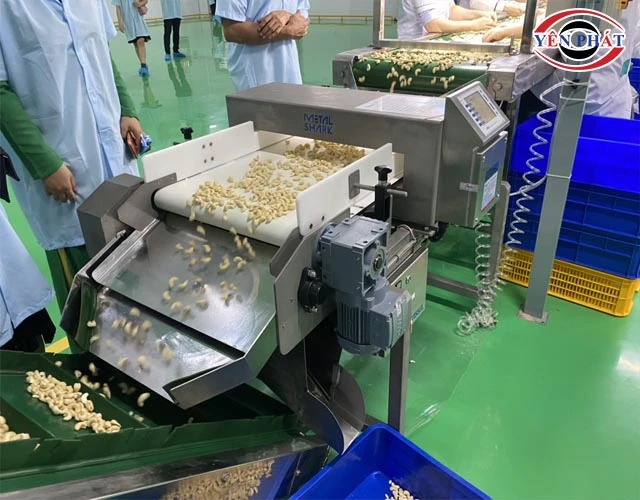 cách sử dụng máy dò kim loại Techik