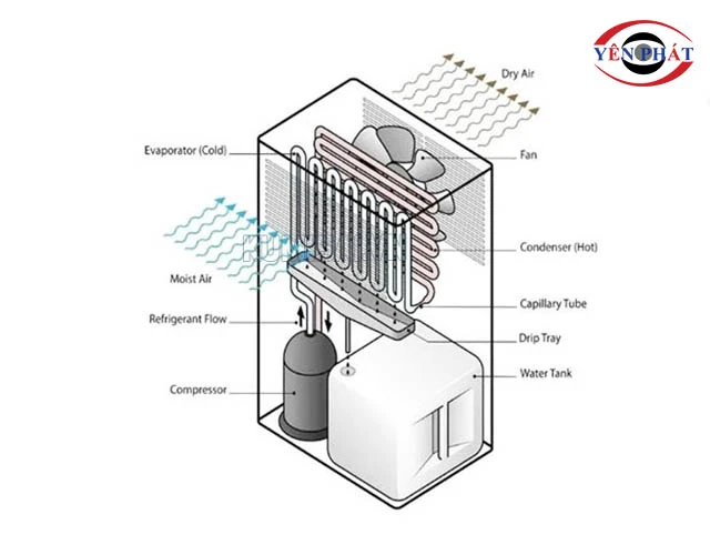 Cấu tạo chung của tủ chống ẩm Aipo