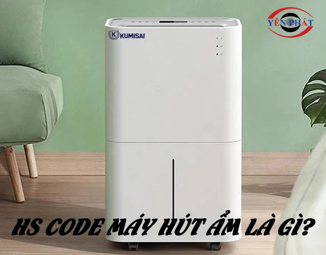 HS Code máy hút ẩm: Tra cứu nhanh, Khai báo, Áp dụng thuế