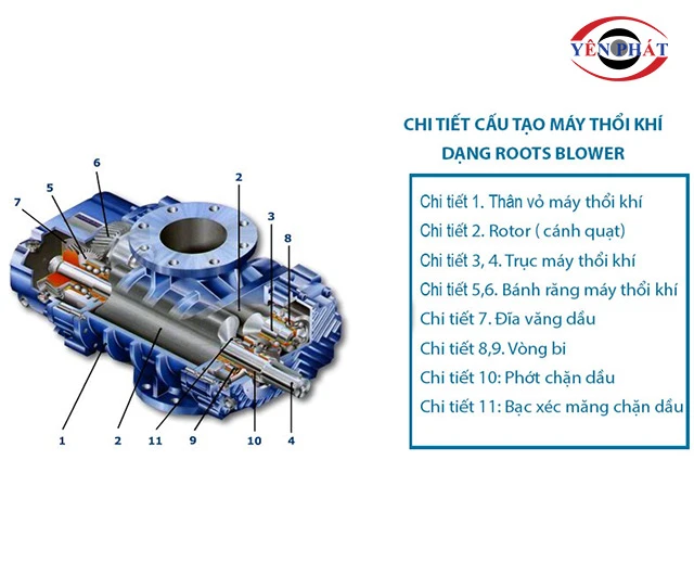 cấu tạo của máy nén khí root