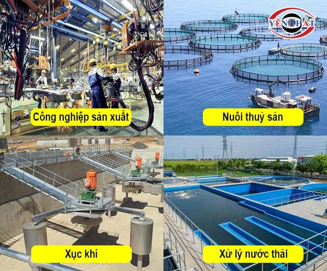 ứng dụng của máy nén khí kiểu root