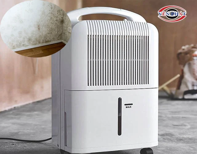 máy hút ẩm Đà Nẵng xử lý ẩm mốc