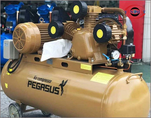 Pegasus TM-W-1.6/12.5-500L trang bị cụm đầu nén 3 piston hoạt động luân phiên