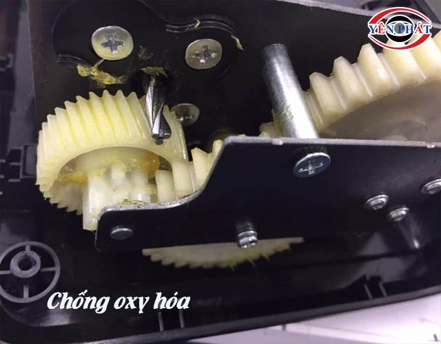 mỡ bò vàng Chống oxy hóa