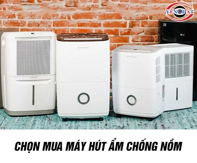 Mua máy hút ẩm chống nồm