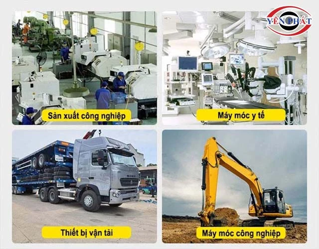 ứng dụng mỡ bò vàng