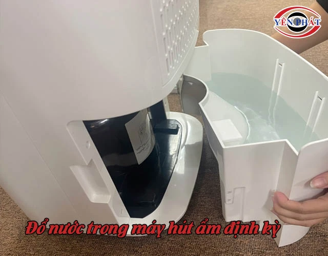 đổ nước trong máy hút ẩm định kỳ