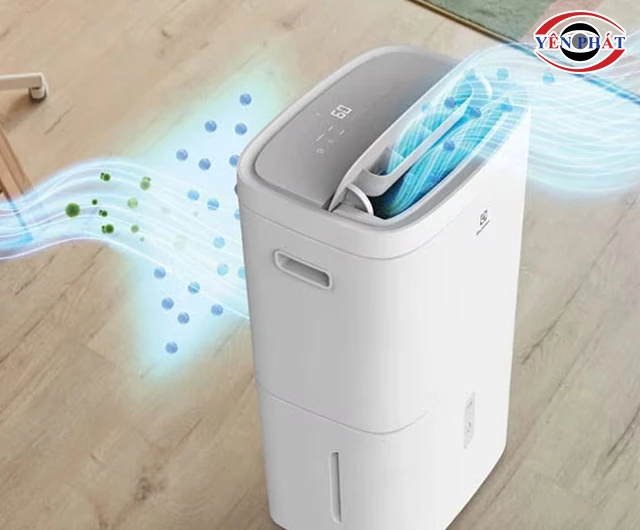 máy hút ẩm 3 trong 1 đa năng