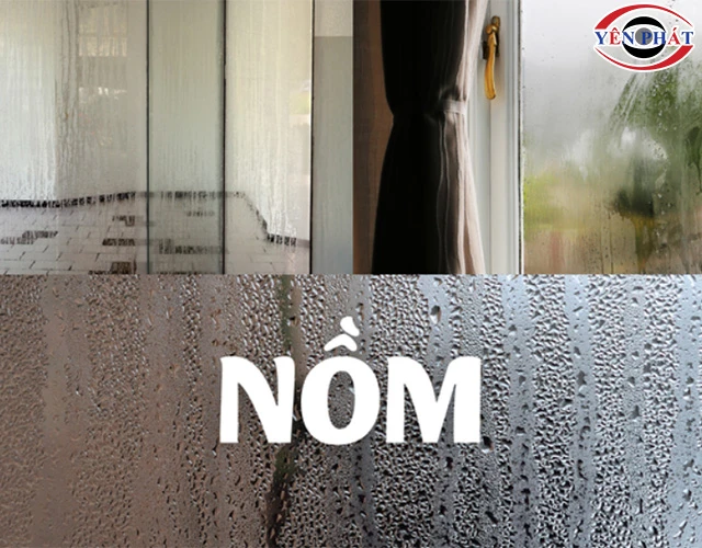 mùa nồm nên dùng máy hút ẩm