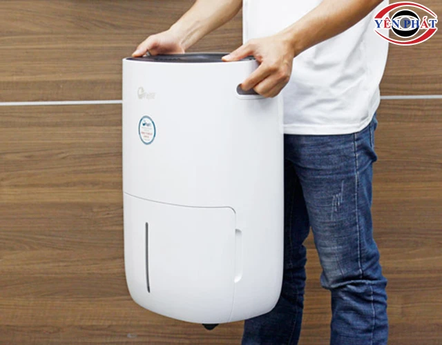 thỏa mái di chuyển