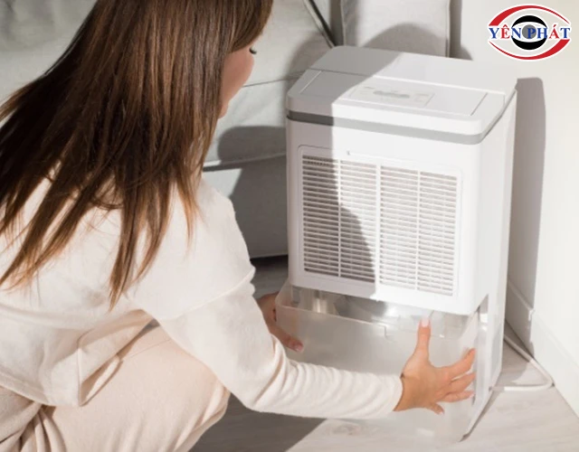 Máy hút ẩm không ra nước: 5 Nguyên nhân & Cách sửa nhanh