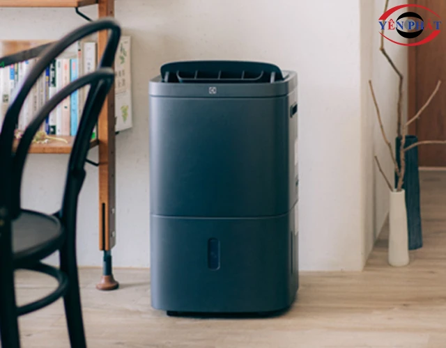 Máy hút ẩm Electrolux