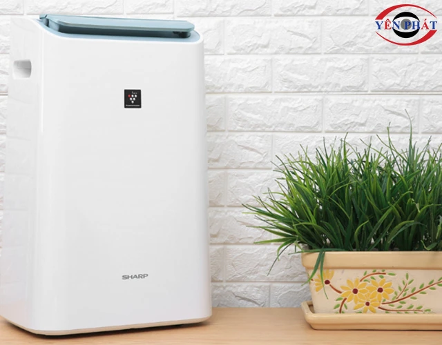 Máy hút ẩm Sharp
