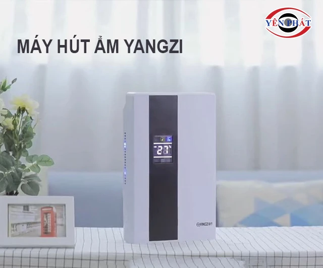 máy hút ẩm Yangzi