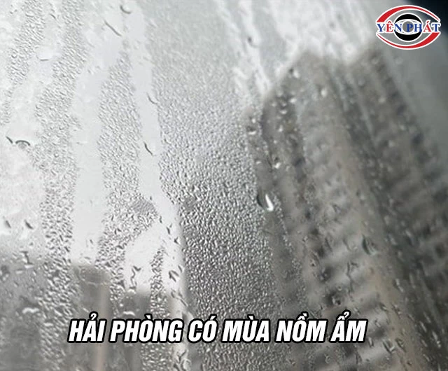 Hải Phòng có mùa nồm ẩm