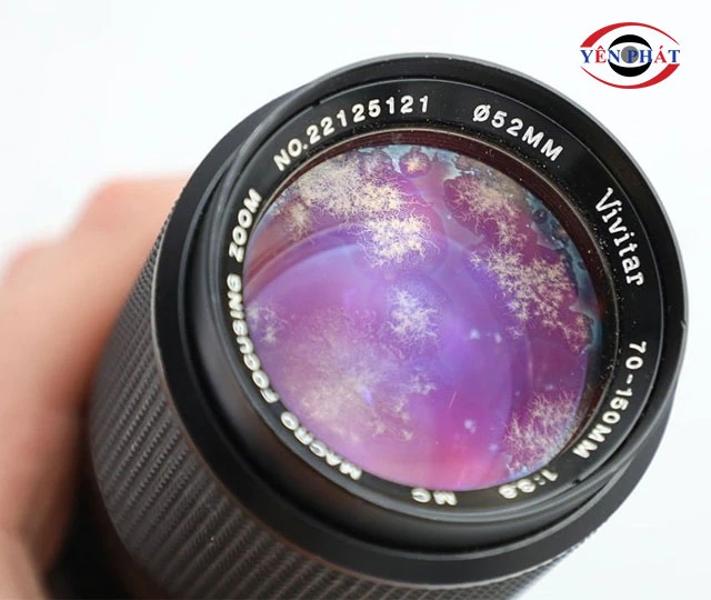 Những dấu hiệu cho thấy lens bị mốc
