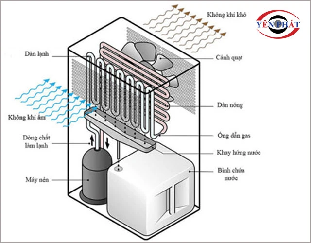 thông tin chi tiết máy hút ẩm không khí Toshiba