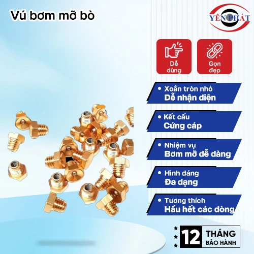 Vú bơm mỡ 2