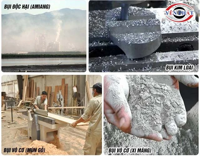 Dựa theo kích thước