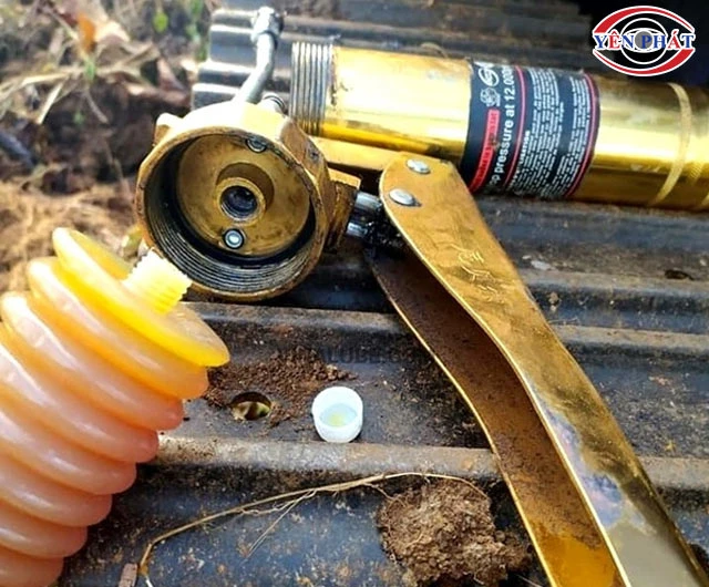 Lắp bơm mỡ sâu