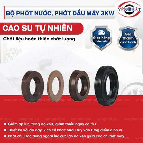 Bộ phớt nước, phớt dầu máy 3kW 2