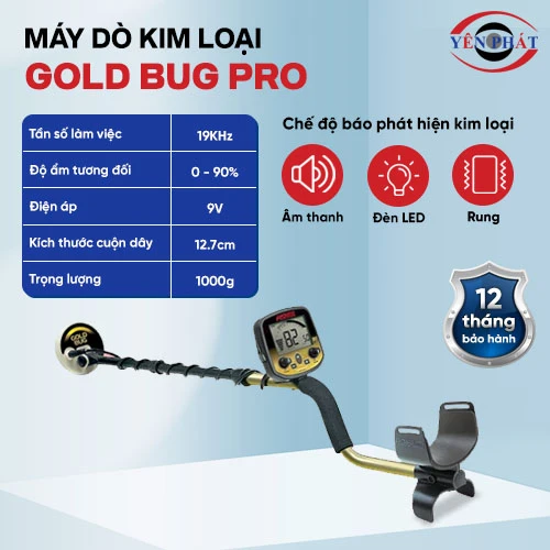 Máy dò vàng cốm chuyên dụng Gold Bug Pro 2