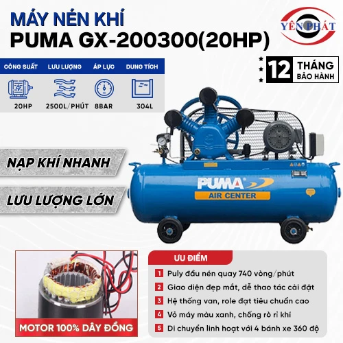 Máy nén khí Puma GX-200300(20HP) 2