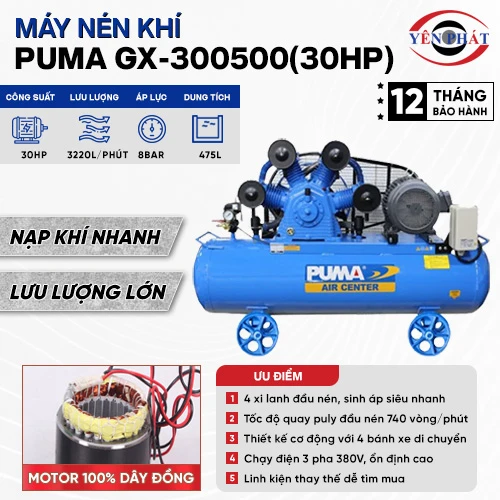 Máy nén khí Puma GX-300500(30HP) 2