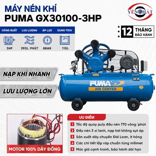 Máy nén khí Puma GX30100-3HP 2