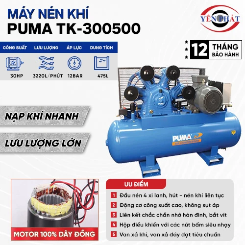 Máy nén khí Puma TK-300500 2